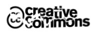Broken Commons Logo by velox